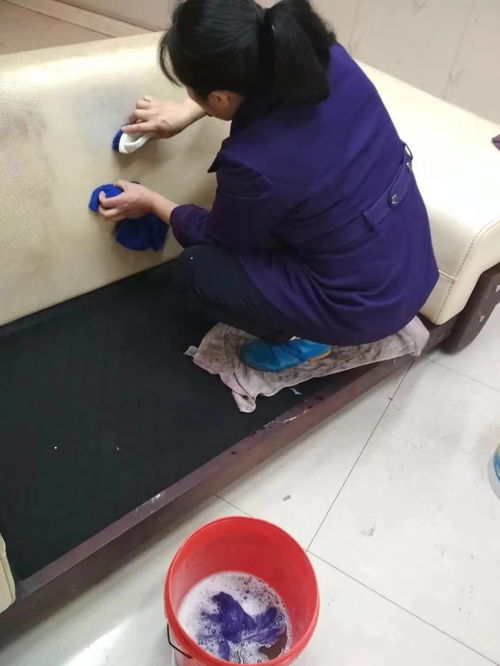 重慶專業清潔服務 日常保潔、開荒保潔與高層外墻清洗全方位指南