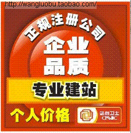網(wǎng)站建設(shè)及維護(hù)服務(wù) 打造您的優(yōu)質(zhì)在線門面